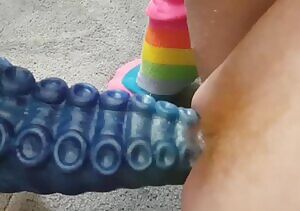 Waiting for new toys isn't so hard with Ika around. 🐙