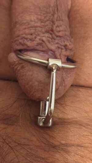 Average Cut Cocks Circumcised Cock Edging