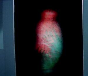 Jenny Agutter from Logan's Run