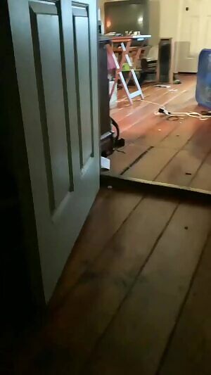 Ready and waiting for daddy