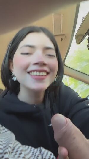 Car Blowjob Blowbang