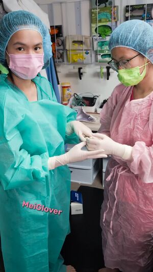 MedFet Latex Gloves Medical
