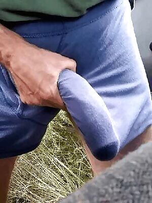 Another view of the snake escaping