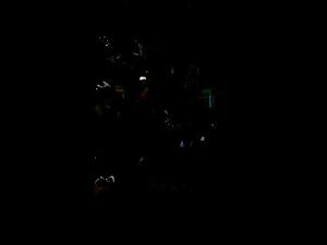 Ariel Winter boob slip