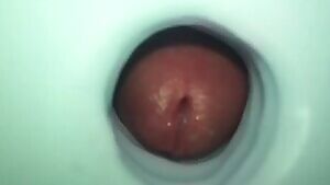 Little Romp with Janine . First time trying to capture a video like this and actually posting it...