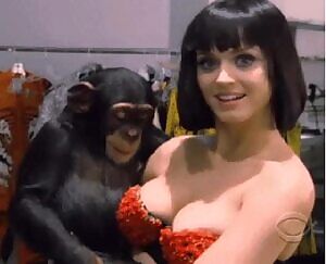 Even monkeys can correctly identify a cumdumpster like Katy Perry