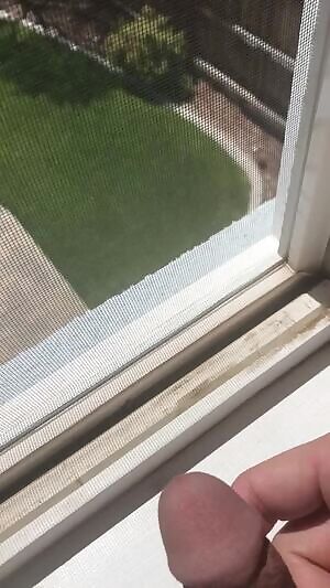 piss through a window