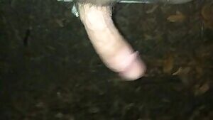 Swinging dick in public