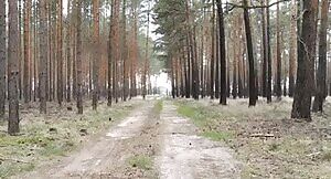 The wonders of nature.