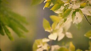 Violett Beane in 'The Leftovers'