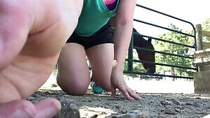 holdthemoan - Just out of view of the highway, in full view of the horses