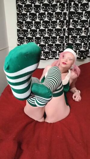 Pig Tails Bed Christmas Chubby Cute
