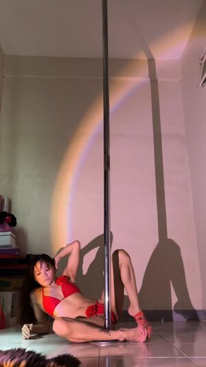 Striptease Lapdance Porn Pole Dance Stripper