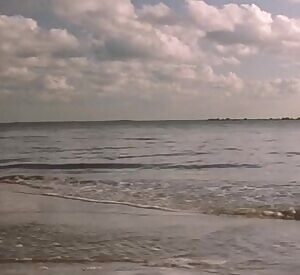 Jessica Tandy - Camilla