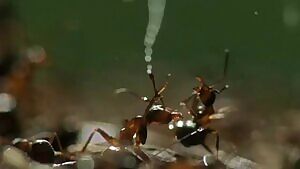 Hentai protagonists be like...