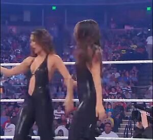 The Bella Twins