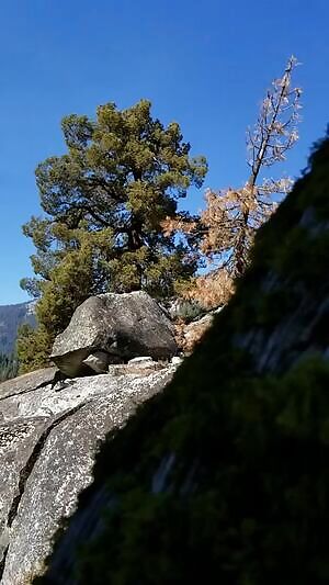 First time posting to this sub, trying to decide if we should post more