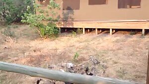 African wild dogs brutalize pregnant Impala and remove fetus