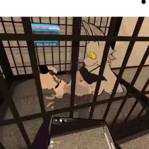Furry 3D VR