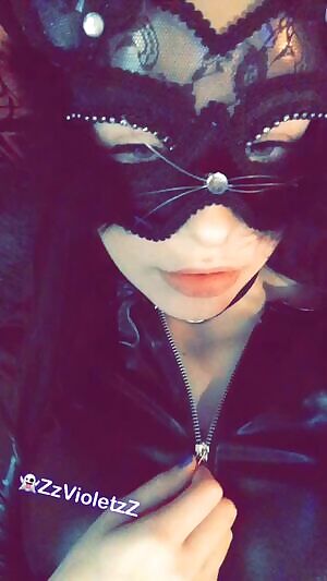 Come play with this kitty 😻