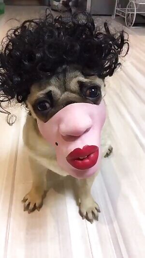 I have no words...