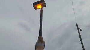 How to make it on Twitch