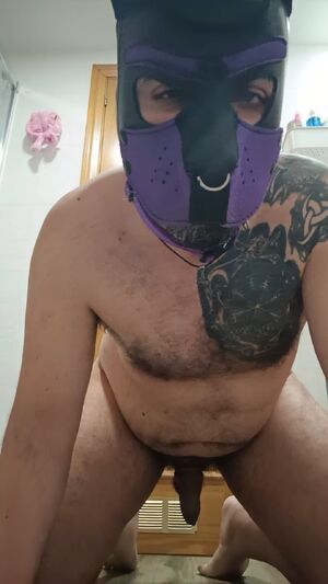 Bears Amateur Bear Cock Cumshot