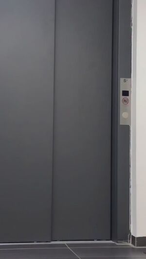 Silk and Satin Clothed Clothing