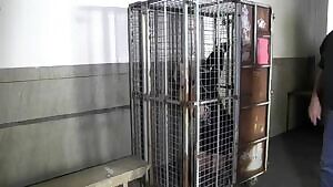 On to the auction block