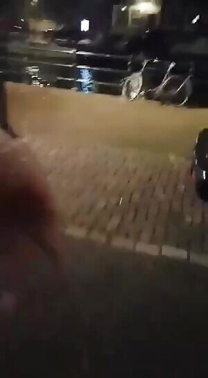 Trashterdam nights
