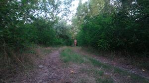 Exposed In Public Exhibitionism Exhibitionist Naked