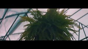 Girl from a music video