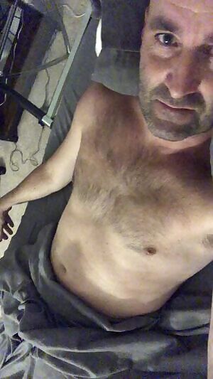 morning wood