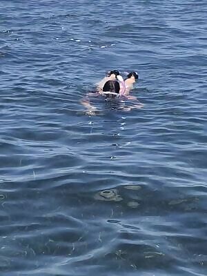 Who needs clothes when you’re scalloping...