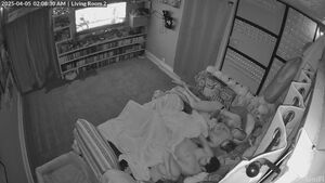 CCTV Security Camera Amateur Body Swap