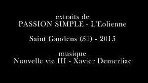 Marion Soyer - Passion Simple