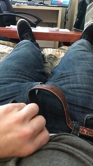 The Reveal