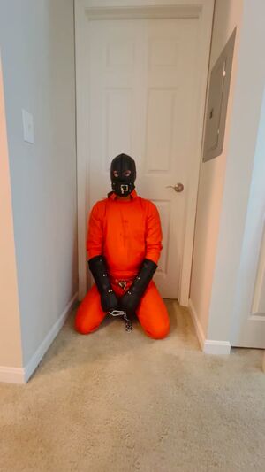 Metal Bondage BDSM Hood Prison