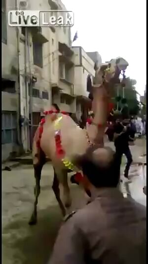 Muslim mechanic killed by axle malfunction