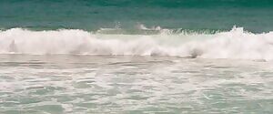 Blake Lively gone surfin'