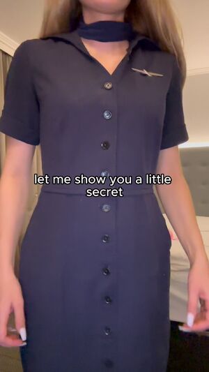 Flight Attendants Fantasy Fetish Lingerie Nylons