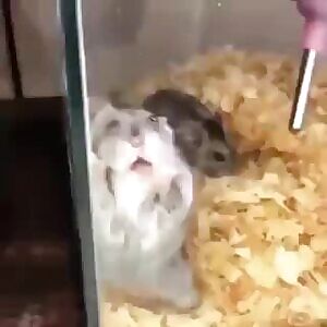 me watching your yoga videos on instagram