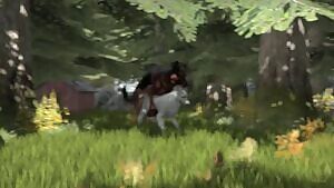 In the woods