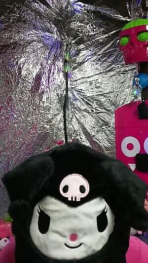 My Daddy got me a Kuromi hat with flapping ears😻