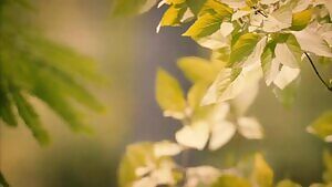 Violetta Beane, Katy Harris, & Jasmin Savoy Brown naked running plot on The Leftovers