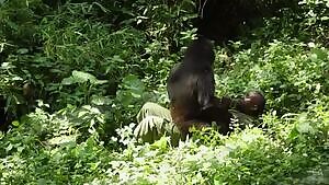 Andre plays with Ndakasi