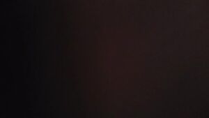 This is what I have to keep contained even when fully flaccid