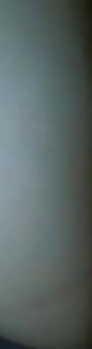 Black cock drilling white pussy