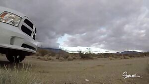 Quickie by the truck