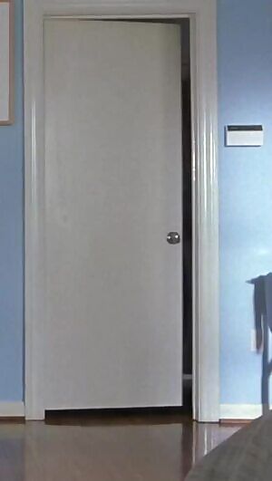 Roselyn Sanchez - Chasing Papi